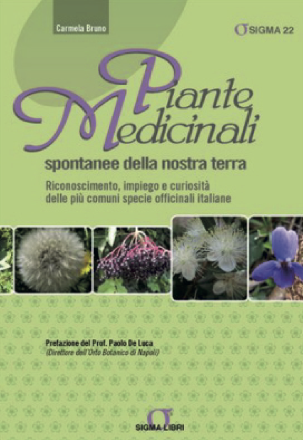 Piante Medicinali Spontanee...