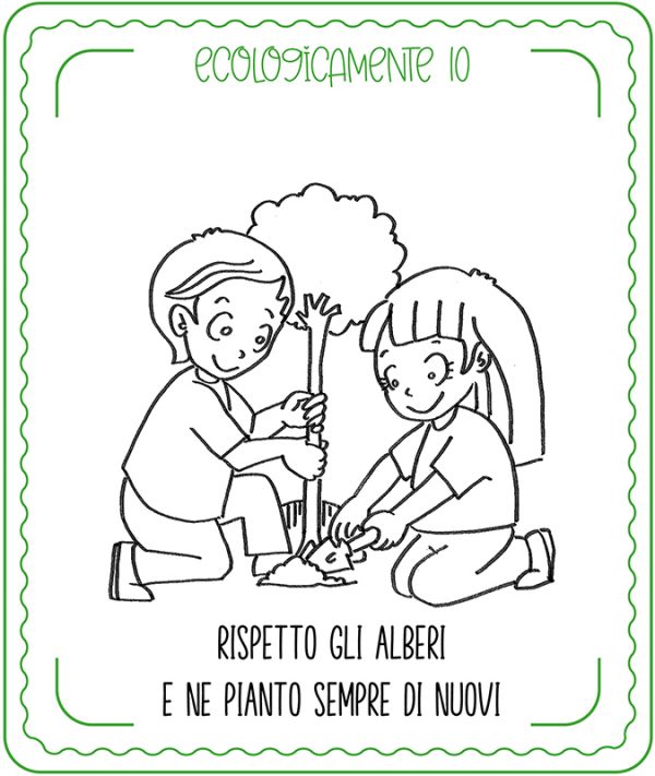 Rispettare gli alberi